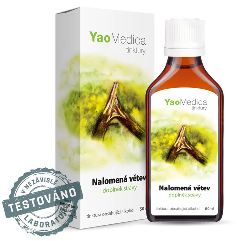 035 - Nalomená větev