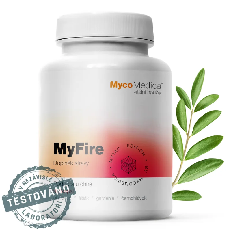 MyFire