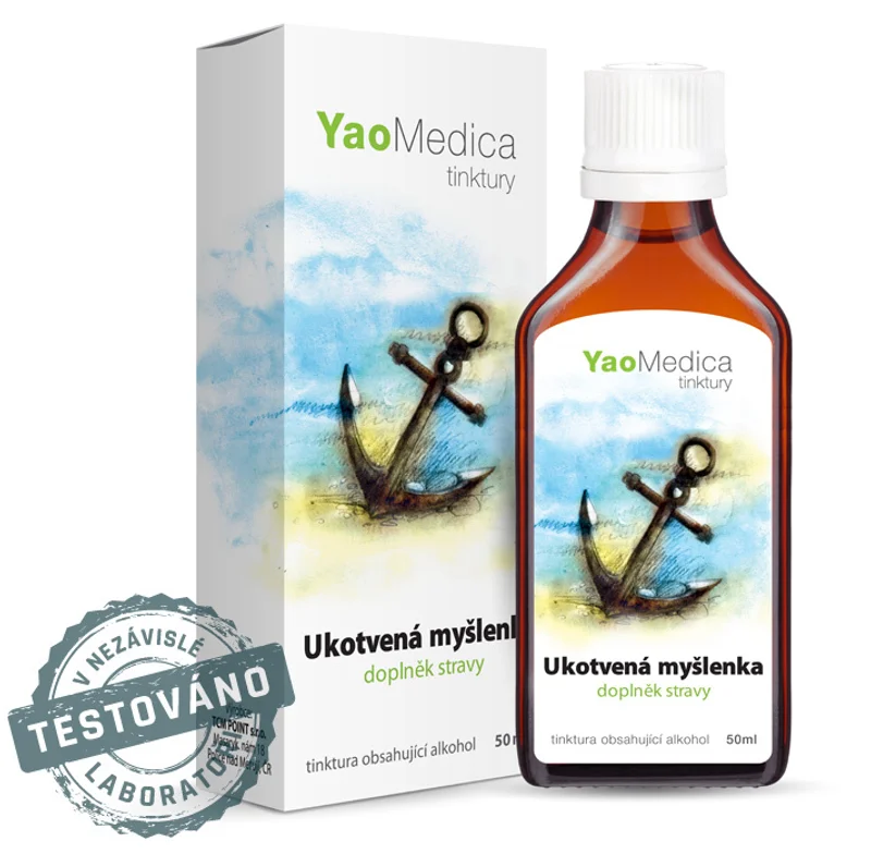042 - Ukotvená myšlenka