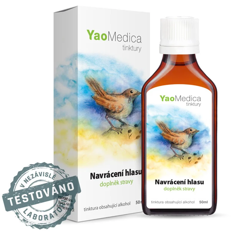022 - Navrácení hlasu